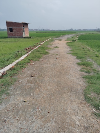 Plot For Resale in Kanwali Road Dehradun  7537578