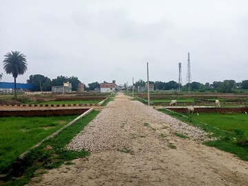 Plot Area in  Plot at Mohanlalganj – for Sale