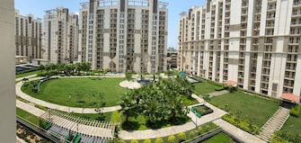 3 BHK Apartment For Rent in Emaar Gurgaon Greens Sector 102 Gurgaon  7537791