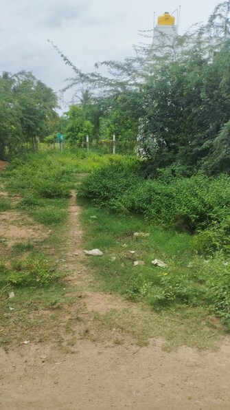 Plot For Resale in Timiri Vellore  7528800