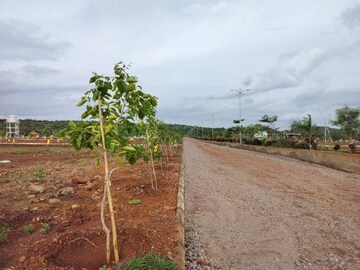 Plot Area in  Plot at Budhera – for Sale