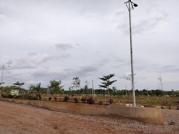 Plot Area in  Plot at Budhera – for Sale