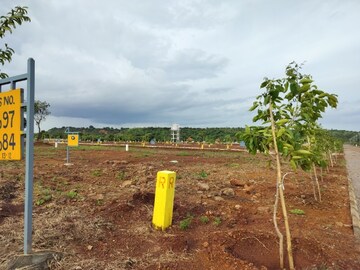 Plot Area in  Plot at Budhera – for Sale