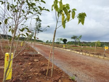  Plot For Sale in Budhera