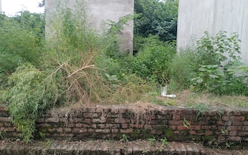 Plot For Sale in Vasant Kunj