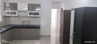 2 BHK Apartment For Rent in Signature Global Solera 2 Sector 107 Gurgaon  7538663