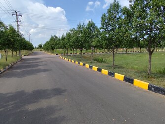 Plot For Resale in Pharma Green City Yacharam Hyderabad  7539138