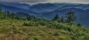 Plot Area in  Plot at Naldehra – for Sale