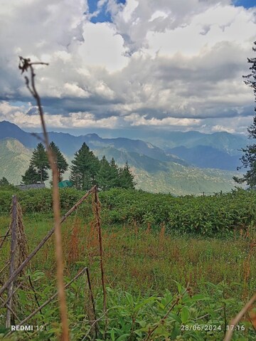  Plot For Sale in Naldehra
