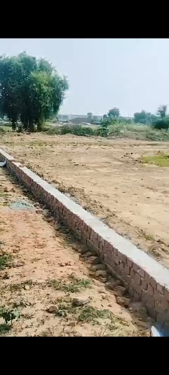 Plot For Resale in Akhari Varanasi  7539185