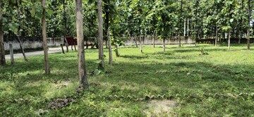 Plot Area in  Plot at Mohabbewala – for Sale