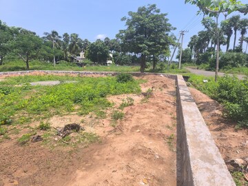 Plot Area in  Plot at Bhogapuram – for Sale