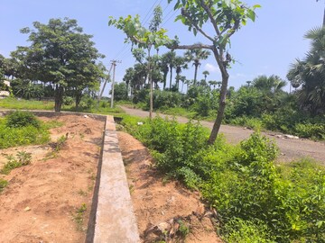 Plot Area in  Plot at Bhogapuram – for Sale