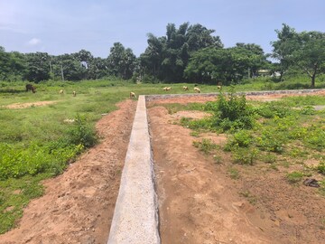 Plot Area in  Plot at Bhogapuram – for Sale