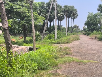 Plot Area in  Plot at Bhogapuram – for Sale