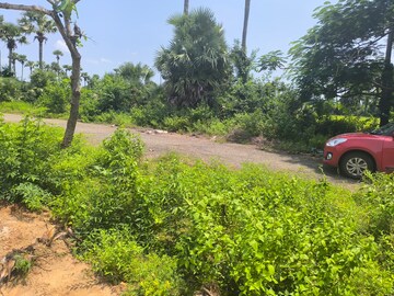  Plot – Garden View at Bhogapuram - for Sale