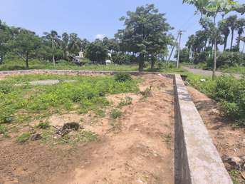 Plot For Resale in Bhogapuram Vizianagaram  7539711