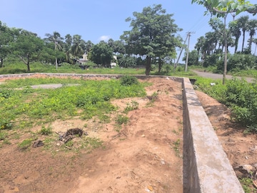 Plot For Resale in Bhogapuram Vizianagaram  7539711