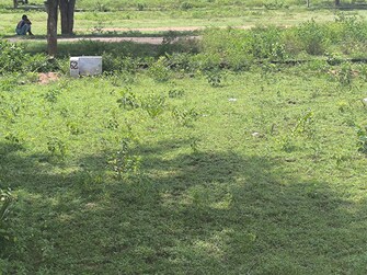 Plot For Resale in Bhogapuram Vizianagaram  7539711