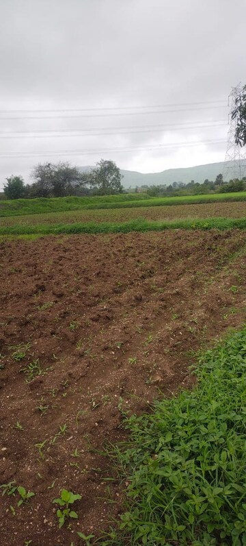 Plot For Resale in Ganjmal Nashik  7539930