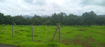 Plot For Resale in Mangaon Raigad  7540275