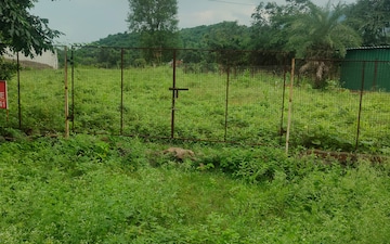 Plot For Sale in Bhogpur