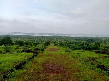  Plot For Sale in Dronagiri