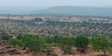 Plot Area in  Plot at Dronagiri – for Sale