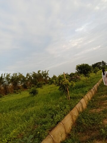 Plot Area in  Plot at Shadnagar – for Sale