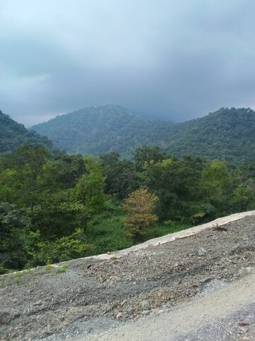 Plot Area in  Plot at Aamwala – for Sale