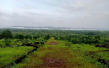 Land For Sale in MIDC Taloja Industrial Area, Taloja