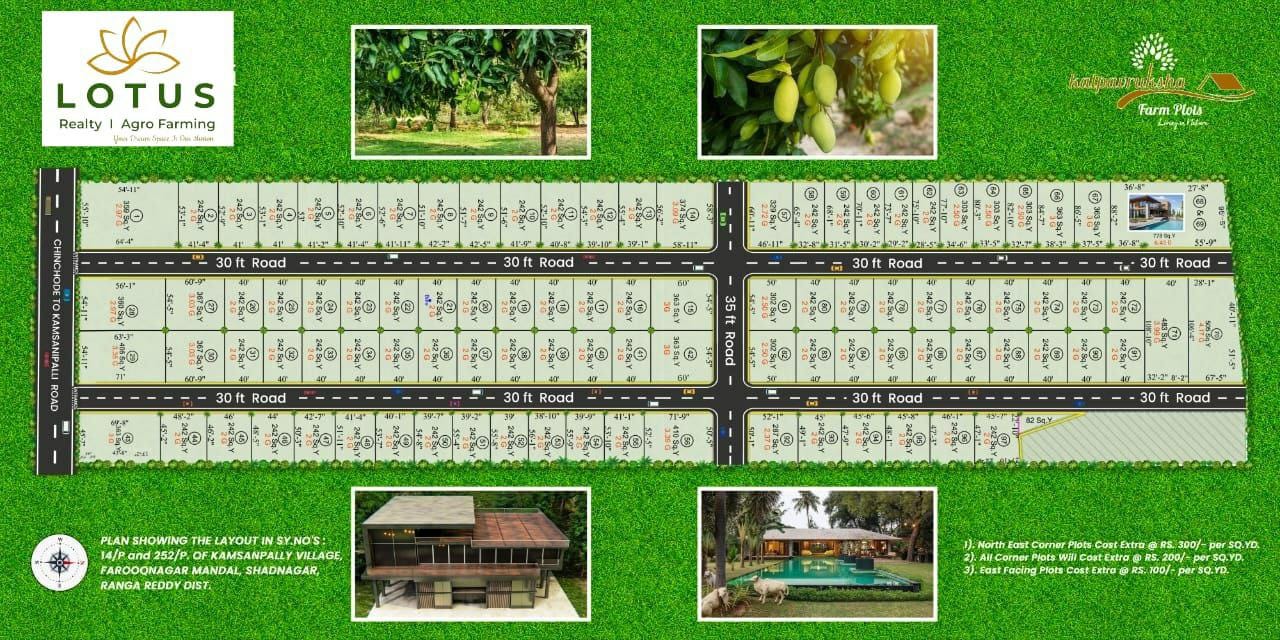 Plot फॉर रीसेल इन Shadnagar Hyderabad  7540837