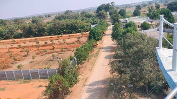 Plot Area in  Plot at Shadnagar – for Sale
