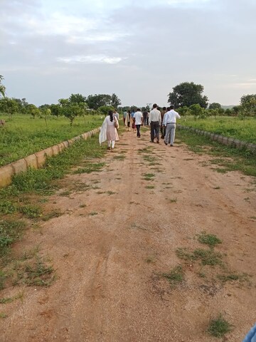 Plot Area in  Plot at Shadnagar – for Sale