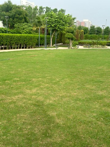 Plot Area in  Plot at BPTP District, Sector 81 – for Sale