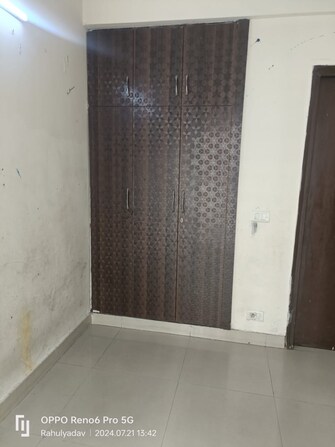 3 BHK Apartment For Rent in Galaxy North Avenue Gaur City 2  Greater Noida  7541302