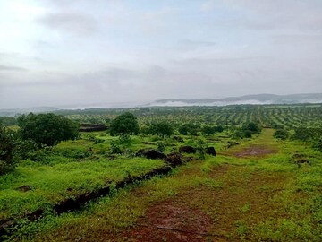 Plot Area in  Industrial Plot at MIDC Taloja Industrial Area, Taloja – for Sale