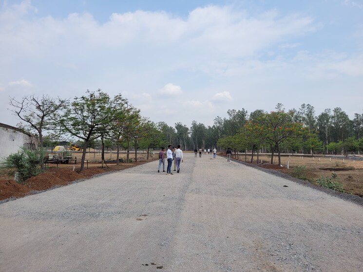 undefined, pacheda 1  1500 Sq.Ft. Plot In PachedA 1 Raipur 7541438
