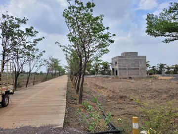 Plot Area in  Plot at PachedA-1 – for Sale