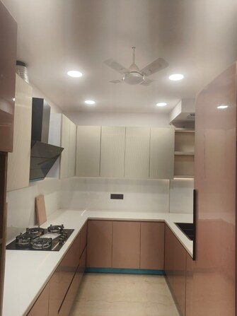 3 BHK Builder Floor For Resale in Safdarjang Enclave Delhi  7541524