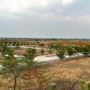 Plot Area in  Plot at PachedA-1 – for Sale