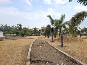 Plot Area in  Plot at PachedA-1 – for Sale