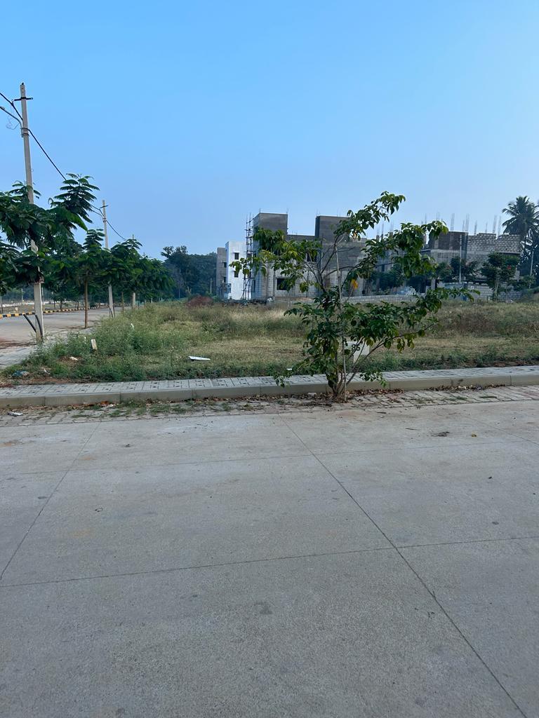 Plot For Resale in Malur Bangalore  7542636