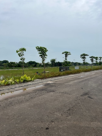 Plot For Resale in Sector 78 Faridabad  7542710