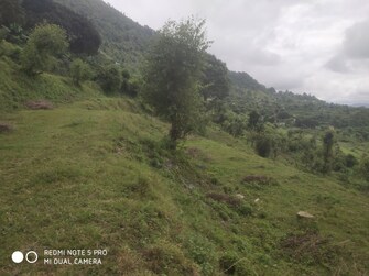 Commercial Land 4413 Sq.Mt. For Resale in Jeolikote Nainital  7542895