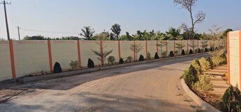 Plot For Resale in Kolar Bangalore  7543082