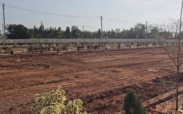 Plot For Sale in Narasapura