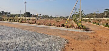 Plot Area in  Plot at Narasapura – for Sale