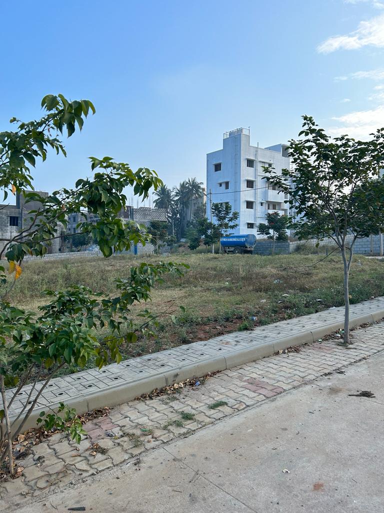 Plot For Resale in Narsapura Bangalore  7543320