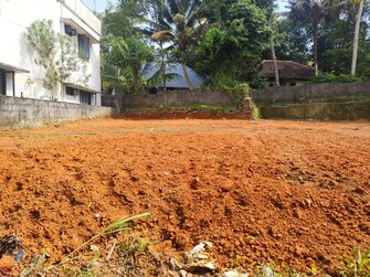 Commercial Land 5232 Sq.Ft. For Resale in Mannanthala Thiruvananthapuram  7543354